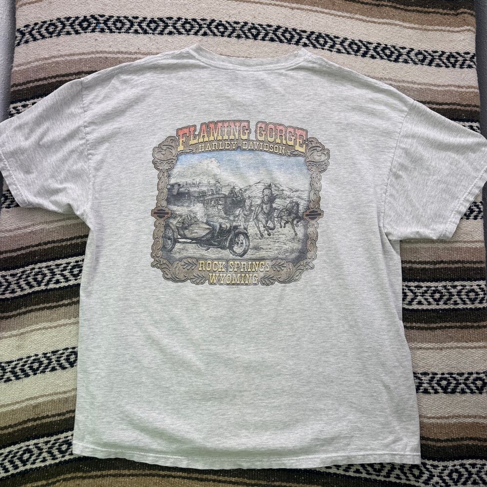 Vintage 2004 Harley Davidson Motorcycles Flaming Gorge Wyoming Biker Shirt 2XL